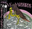 画像1: LIVE YARDBIRDS! feat. JIMMY PAGE THE ULTIMATE COLLECTION 【2CD】 (1)