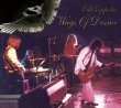 画像1: LED ZEPPELIN-WINGS OF DESIRE 【2CD】 (1)