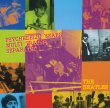 画像1: The Beatles-PSYCHEDELIC YEARS MULTI TRACKS SEPARATED 【2CD】 (1)