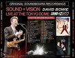 画像2: David Bowie-LIVE AT THE TOKYO DOME 1990 【2CD】 (2)