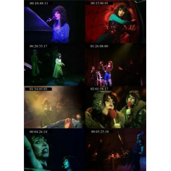 画像3: KATE BUSH / APOLLO THEATRE MANCHESTER 1979 COMPLETE VERSION 【DVD】  (3)