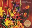 画像1: Paul McCartney-FLOWERS IN THE DIRT SESSIONS 【6CD】 (1)