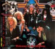 画像1: GUNS N ROSES WELCOME TO THE SESSIONS 2CD (1)