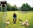 画像1: GEORGE HARRISON ALL THINGS MUST PASS SESSIONS II 3CD (1)